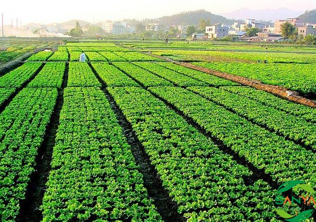 海南省智能灌溉技术的应用效果如何